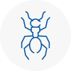 Ant Removals In Liversedge