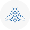 Bee Nest Removal Liversedge
