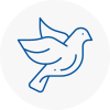 Bird Prevention Liversedge