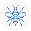 Liversedge Hornet Nest Removals