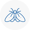 Moth Control Specialists In Liversedge