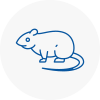Rat Control Liversedge