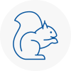 Liversedge Rodent Removals