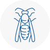 Liversedge Wasp Nest Removal